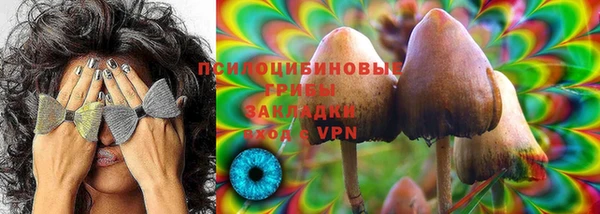 индика Алексеевка