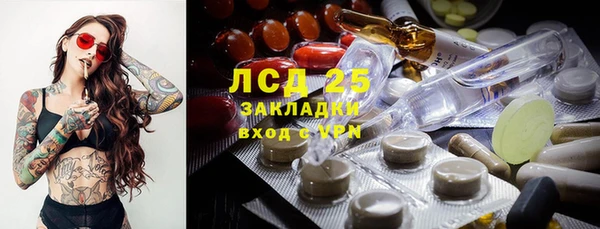 индика Алексеевка