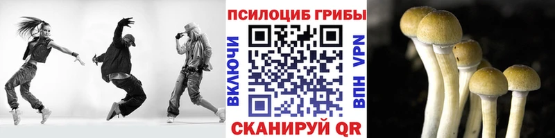 кракен онион  Нерехта  Галлюциногенные грибы MAGIC MUSHROOMS  где продают  